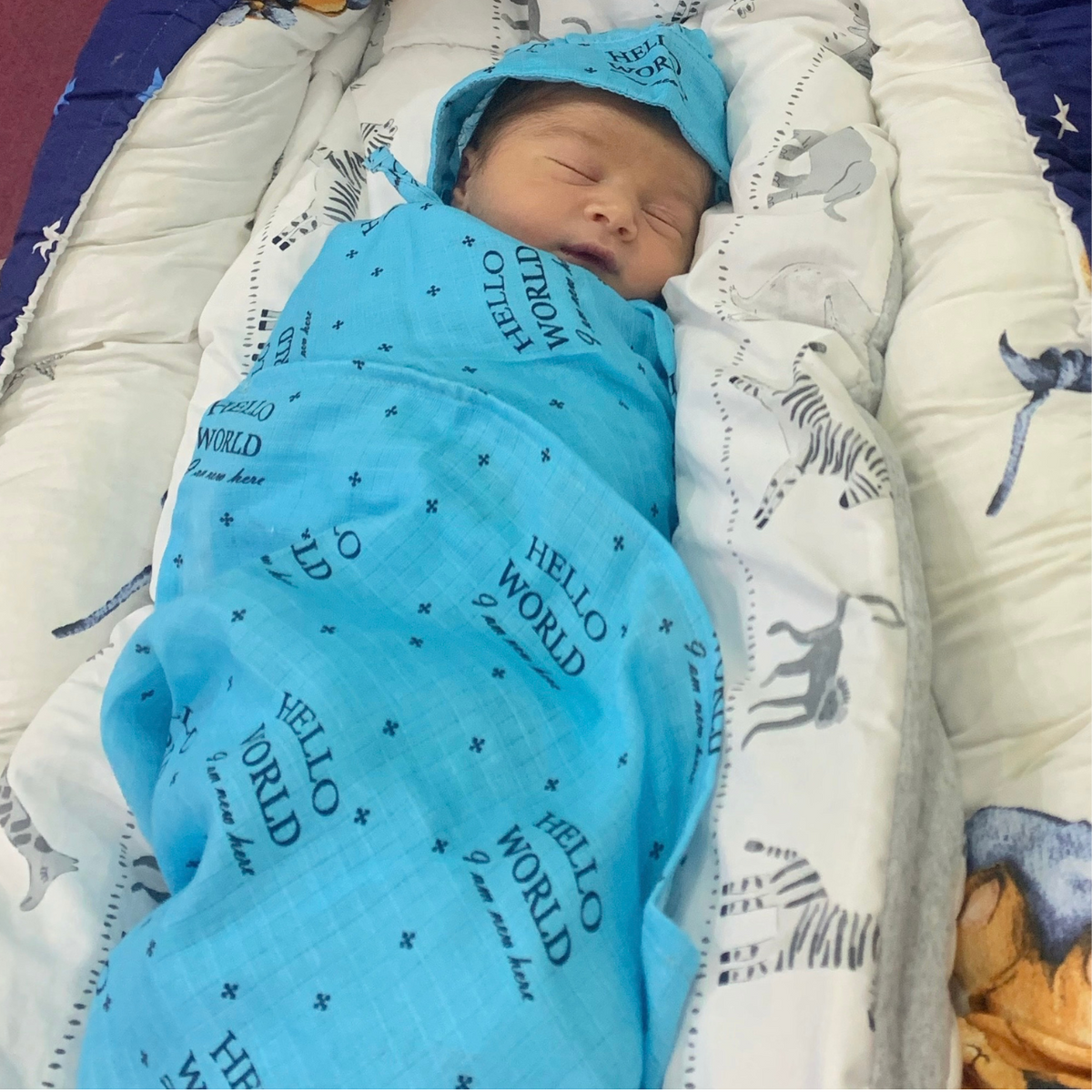 HELLO WORLD BLUE